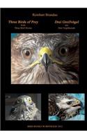 Three Birds of Prey - Drei Greifvögel