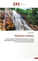 Pollution Mini�re