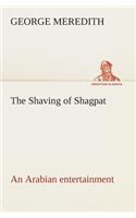 The Shaving of Shagpat an Arabian entertainment - Volume 3: (English)