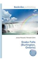 Snake Falls (Burlington, Ontario)