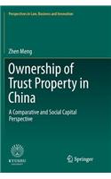 Ownership of Trust Property in China: A Comparative and Social Capital Perspective