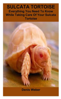 Sulcata Tortoise: Everything You Need To Know While Taking Care Of Your Sulcata Tortoise