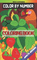 New & Expanded Color By Number Coloring Book Adults Designs: Large Print Mega Jumbo Coloring Book of Floral, Animals, Butterflies and More