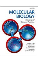 Molecular Biology