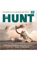 Hunt