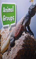 Book 029: Animal Groups