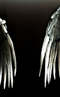 Angels of Resistance (Hardcover)