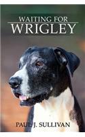 Waiting For Wrigley