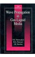 Wave Propagation in Gas-Liquid Media