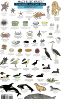 Mac's Field Guides: Olympic National Park