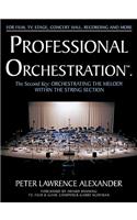 Professional Orchestration Vol 2A