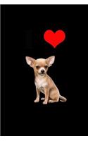 I Love Chihuahua