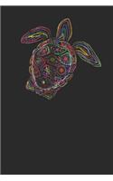 Turtle Colors