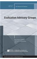 Evaluation Advisory Groups