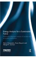 Energy Analysis for a Sustainable Future