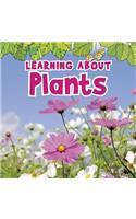 Learning about Plants