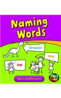 Naming Words: Nouns and Pronouns(Getting to Grips with Grammar)