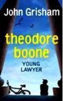 Theodore Boone Young Lawyer