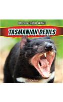 Tasmanian Devils: (Ferocious Fighting Animals)