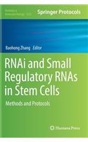 Rnai and Small Regulatory Rnas in Stem Cells