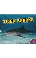 Tiger Sharks