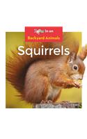 Squirrels