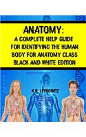 Anatomy