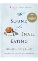 The Sound of a Wild Snail Eating