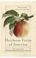 Heirloom Fruits of America