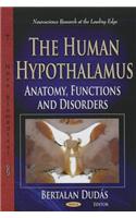 Human Hypothalamus