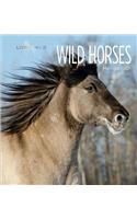 Living Wild: Wild Horses