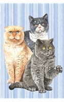 The Cat Lover Collection