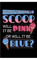 What's the Scoop Will It Be Pink Or Will It Be Blue?