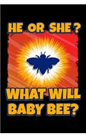 He Or She? What Will Baby Bee?