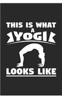 This is what a yogi looks like