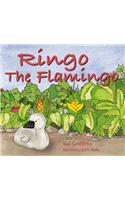 Ringo the Flamingo