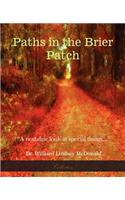 Paths in the Brier Patch