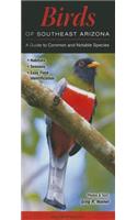 Birds of Southeast Arizona