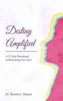 Destiny Amplified