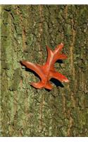 Oak Tree Bark and a Single Leaf Journal