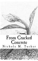 From Cracked Concrete