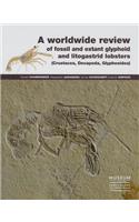 A Worldwide Review of Fossil and Extant Glypheid and Litogastrid Lobsters (Crustacea, Decapoda, Glypheoidea)