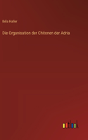 Organisation der Chitonen der Adria