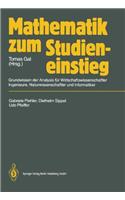 Mathematik Zum Studieneinstieg: Grundwissen Der Analysis Fur Wirtschaftswissenschaftler, Ingenieure, Naturwissenschaftler Und Informatiker