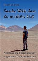 Danke Welt, dass du so schön bist!: Abenteuer und Begegnungen in Argentinien, Chile und Bolivien