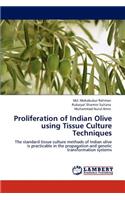 Proliferation of Indian Olive Using Tissue Culture Techniques