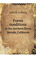 Forest conditions in the northern Sierra Nevada, California