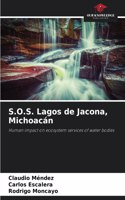 S.O.S. Lagos de Jacona, Michoacán