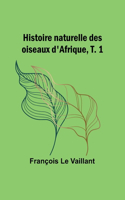 Contes, anecdotes et récits Canadiens dans le langage du terroir (Edition1)