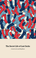 Secret Life Of Lost Socks